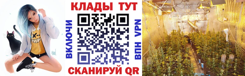 Наркошоп купить ГАШИШ  МАРИХУАНА  АМФ  Мефедрон  COCAIN  Порхов