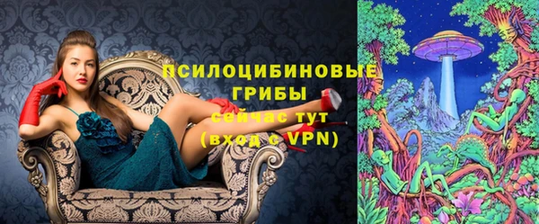 2c-b Фёдоровский